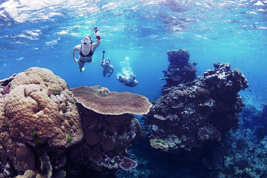 Tourism Census trial @ Flynn Reef, July 2019Image: Gabriel Guzman / Dreamtime Dive and Snorkel