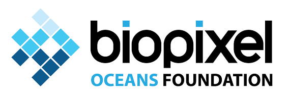 Biopixel Oceans Foundation