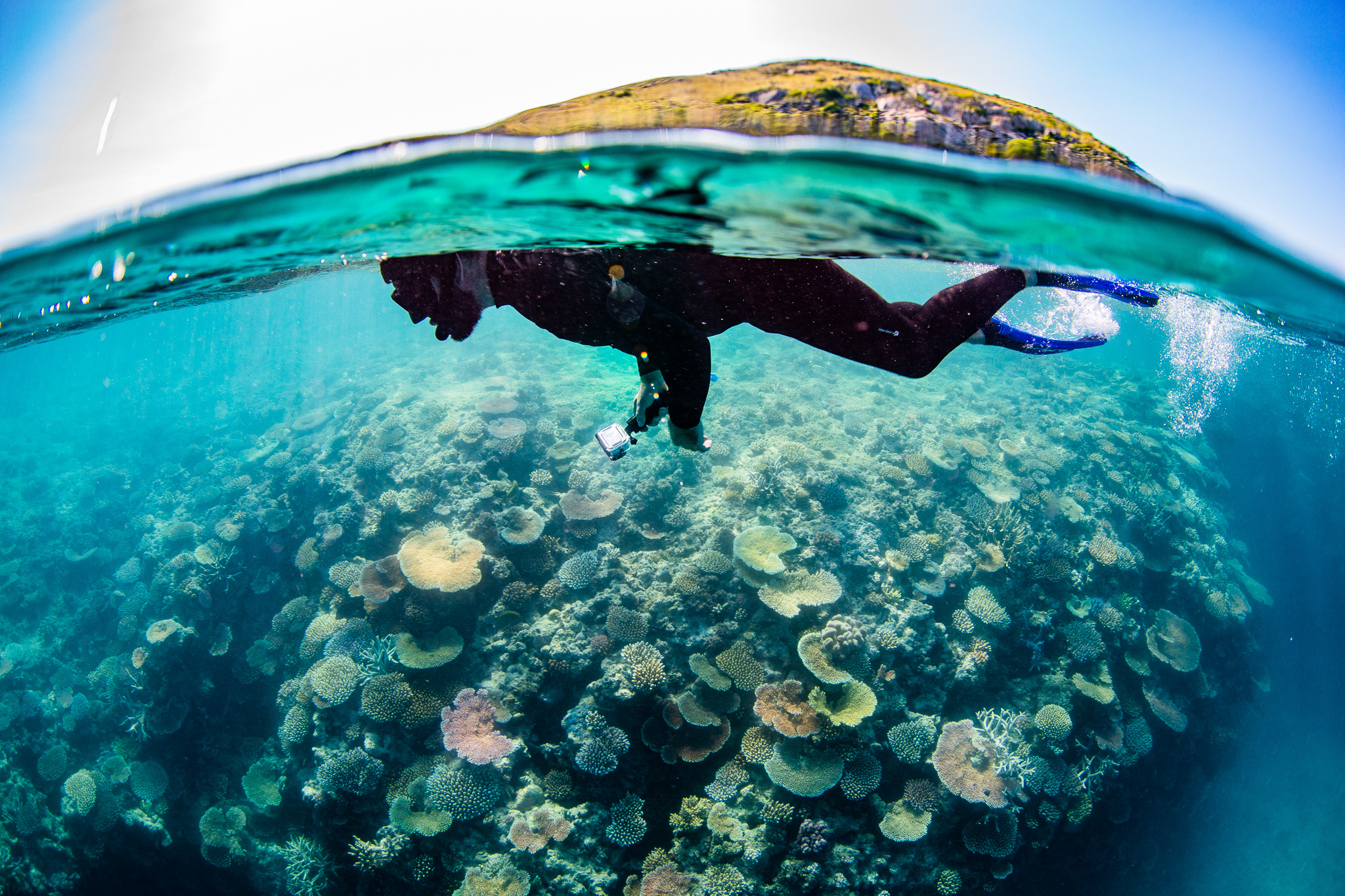 The Great Reef Census