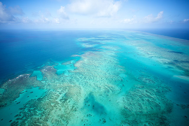The Great Barrier Reef is made up of over 3,000 individual reefs
